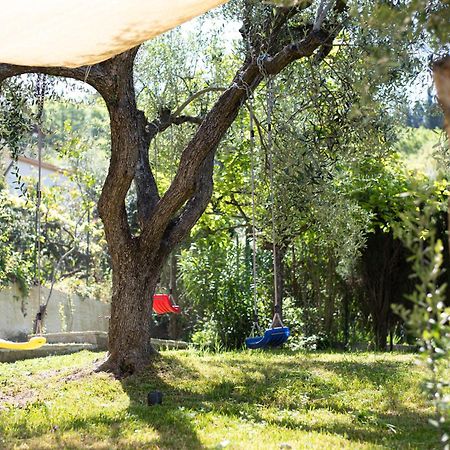 Sole & Pepe Apartment Санта Мария ди Кастелабате Екстериор снимка